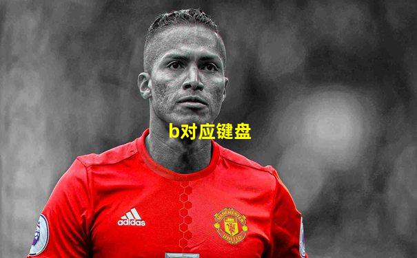 b对应键盘