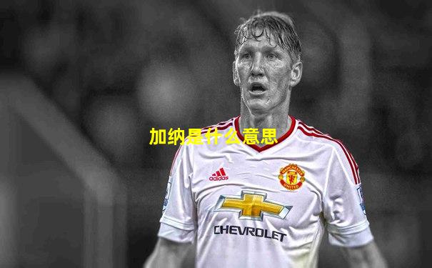 加纳是什么意思