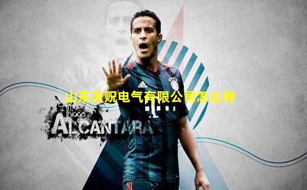 山东天贶电气有限公司怎么样