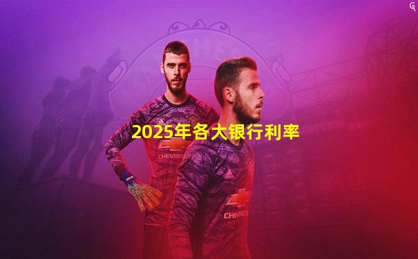 2025年各大银行利率