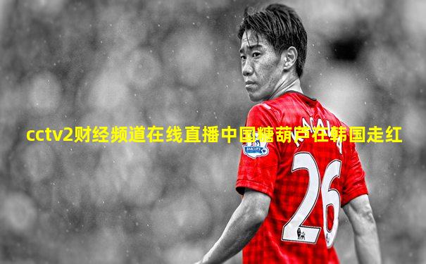 cctv2财经频道在线直播中国糖葫芦在韩国走红