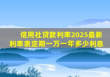 信用社贷款利率2025最新利率表定期一万一年多少利息