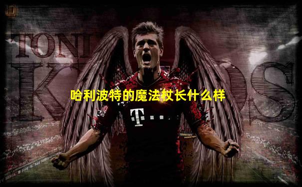哈利波特的魔法杖长什么样
