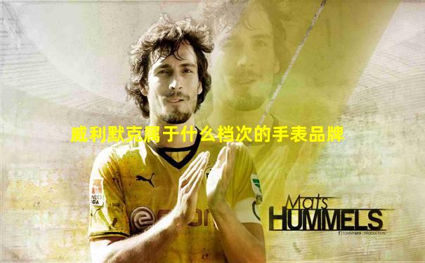 威利默克属于什么档次的手表品牌