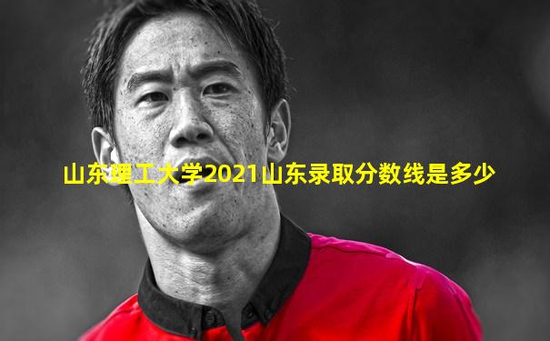 山东理工大学2021山东录取分数线是多少