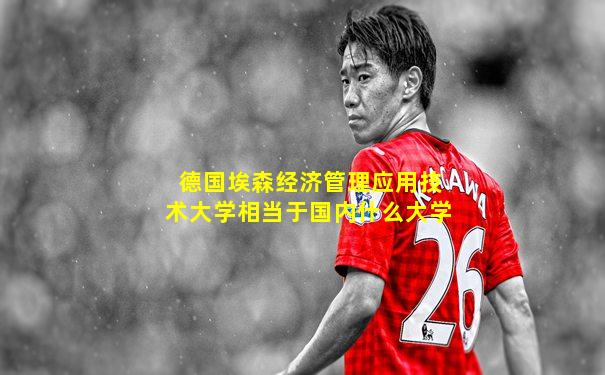德国埃森经济管理应用技术大学相当于国内什么大学