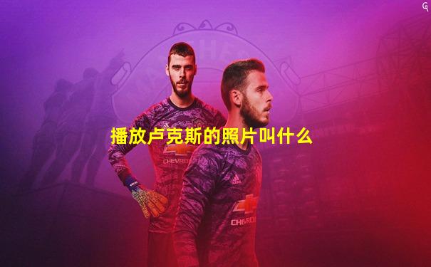 播放卢克斯的照片叫什么