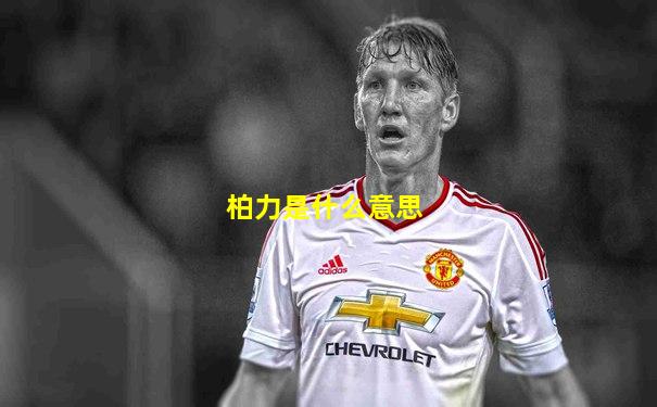 柏力是什么意思