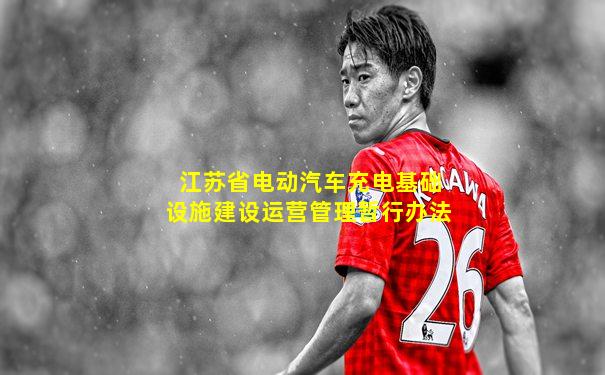 江苏省电动汽车充电基础设施建设运营管理暂行办法
