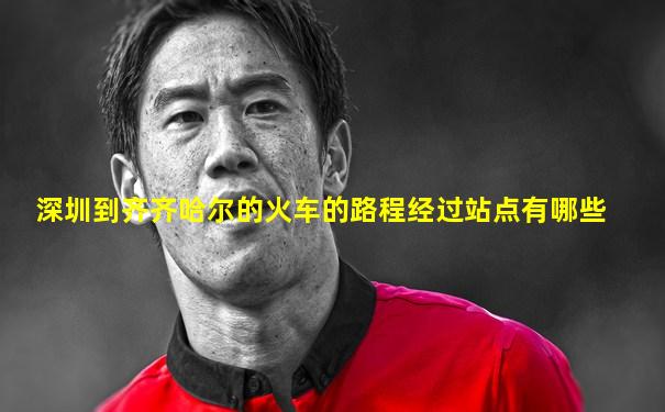深圳到齐齐哈尔的火车的路程经过站点有哪些