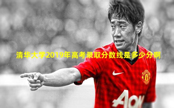 清华大学2019年高考录取分数线是多少分啊