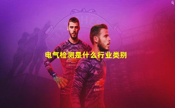 电气检测是什么行业类别
