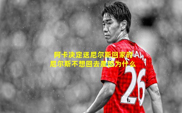 阿卡决定送尼尔斯回家时尼尔斯不想回去是因为什么