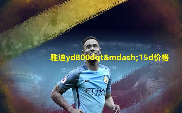 雅迪yd800dqt—15d价格