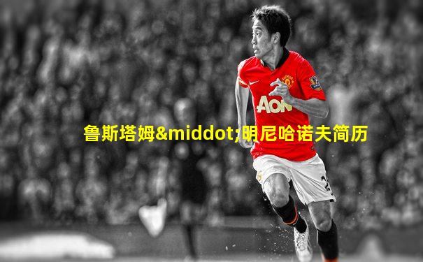 鲁斯塔姆·明尼哈诺夫简历